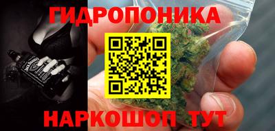 эйфоретик Камышлов