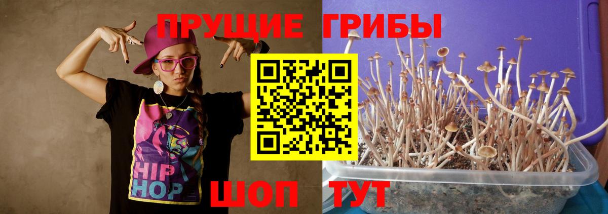 Галлюциногенные грибы мицелий Копейск